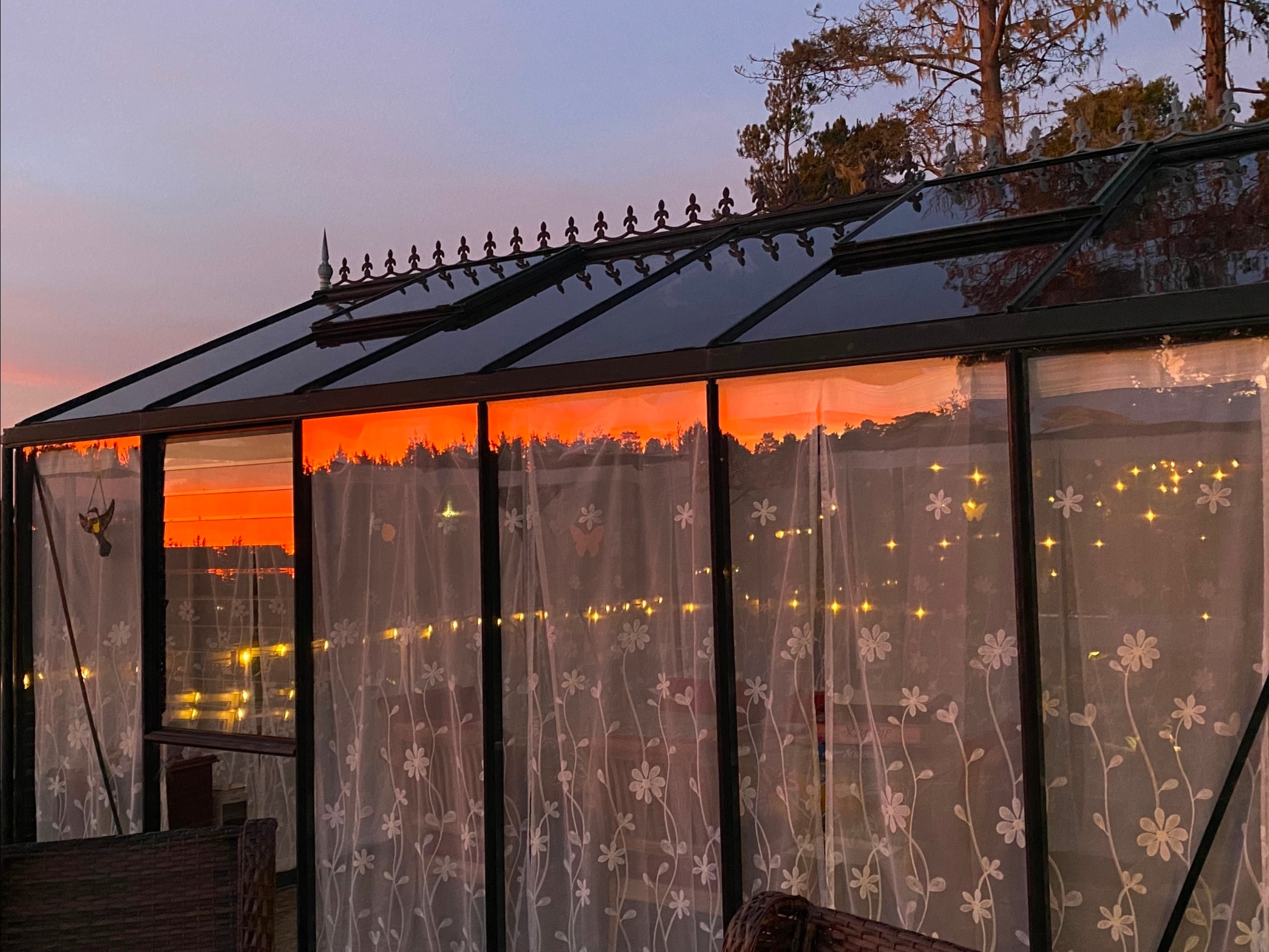 Greenhouse interior with lush plants and warm evening light